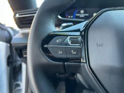 
										PEUGEOT 508 SW 1.5cc BlueHDI 130cv S&S EAT8 ALLURE full									