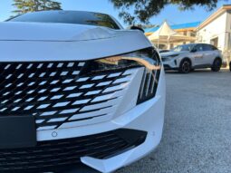 
										PEUGEOT 508 SW 1.5cc BlueHDI 130cv S&S EAT8 ALLURE full									