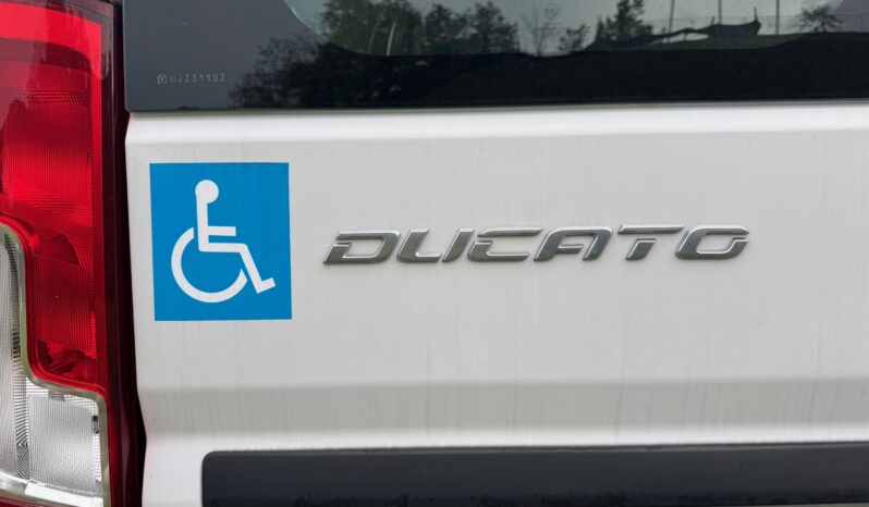 
								FIAT Ducato 9 Posti 35Q MH2 2.2 M-jet 3 140CV Trasp. Disabili full									