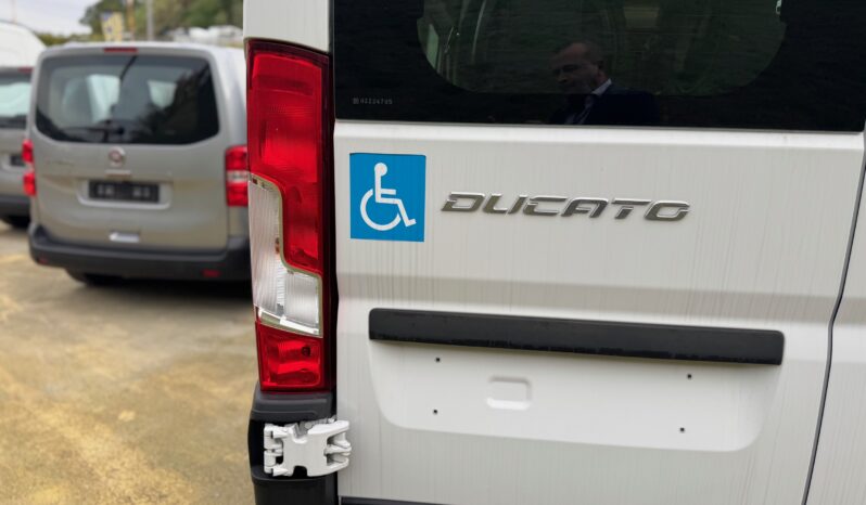 
								FIAT Ducato 9 Posti 35Q MH2 2.2 M-jet 3 140CV Trasp. Disabili full									