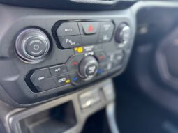 
										JEEP RENEGADE 1.0cc TURBO I3 120cv 4X2 LONGITUDE full									