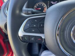 
										JEEP RENEGADE 1.0cc TURBO I3 120cv 4X2 LONGITUDE full									