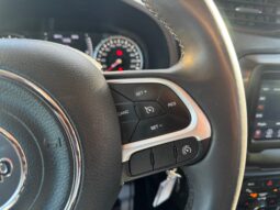 
										JEEP RENEGADE 1.0cc TURBO I3 120cv 4X2 LONGITUDE full									