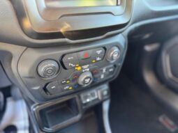 
										JEEP RENEGADE 1.0cc TURBO I3 120cv 4X2 LONGITUDE full									