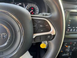 
										JEEP RENEGADE 1.0cc TURBO I3 120cv 4X2 LONGITUDE full									