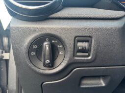 
										SKODA Fabia 1.0cc TSI 95cv Selection full									