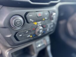 
										JEEP RENEGADE 1.0cc TURBO I3 120cv 4X2 LONGITUDE full									