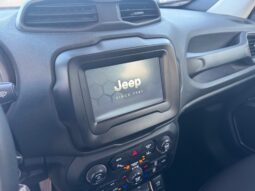 
										JEEP RENEGADE 1.0cc TURBO GPL 120cv 4X2 LONGITUDE full									