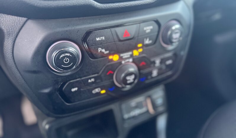 
								JEEP RENEGADE 1.0cc TURBO GPL 120cv 4X2 LONGITUDE full									