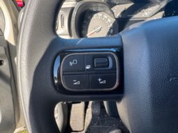 
										Citroen C3 1.5cc BlueHDi 100cv 6M S&S C-Series full									