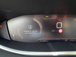 
										PEUGEOT 3008 1.2cc PureTech 130cv S&S GT full									